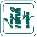 羽毛轻质橡木波浪固化工程木地板-WZD1933